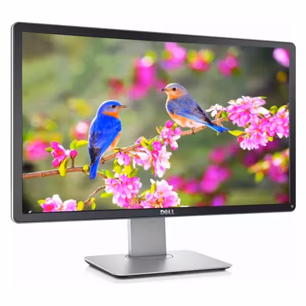 DELL P2314HT